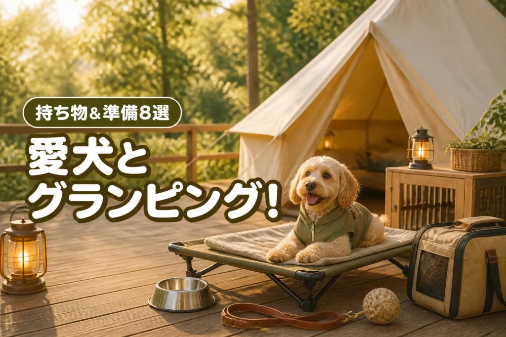 愛犬と楽しむグランピングの犬の持ち物おすすめ8選！重要書類や準備も網羅