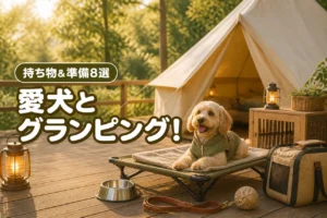 愛犬と楽しむグランピングの犬の持ち物おすすめ8選！重要書類や準備も網羅
