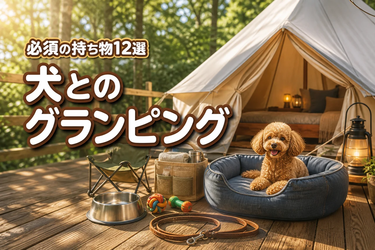 犬とのグランピングで必須の持ち物7選!あると便利なグッズ5選も合わせて紹介