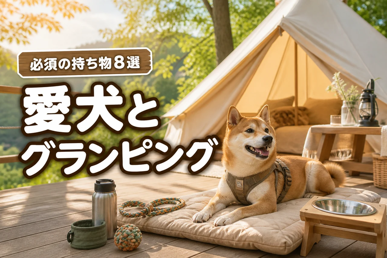 犬とのグランピングで必須の持ち物8選!滞在を快適にする便利グッズも紹介